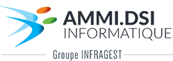 AMMI DSI – Informatique Orléans
